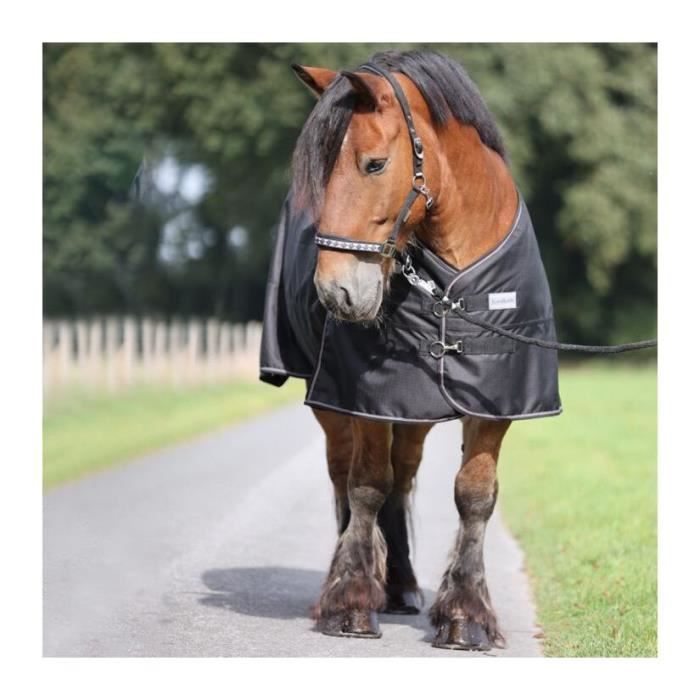Couverture d'extérieur pour cheval Kavalkade Montreal 0g - brown/marron