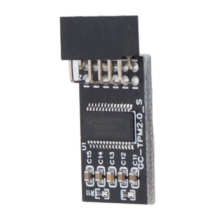 HAOLIP-TPM 20 Module Module TPM 20 LPC SPI 12 Broches Module de ...