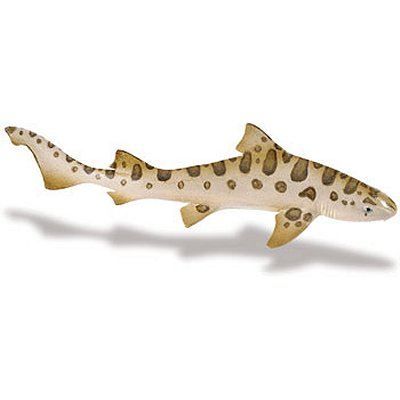 Zentangle De Requin Léopard | Vecteur Premium