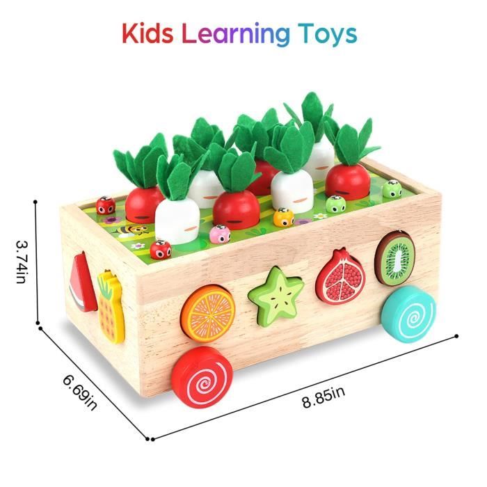 Jeu Hérisson Montessori | Développement de la Motricité Fine – Les jeux Montessori Jeu Hérisson Montessori | Développement de la Motricité Fine – Les jeux Montessori