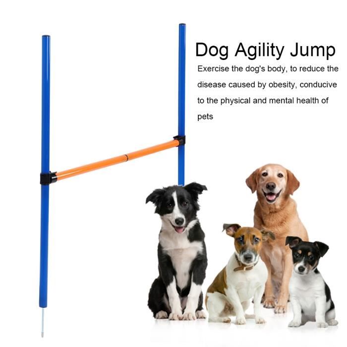 SURENHAP Saut d’agilité pour chien Jouet d'exercice d'équipement de jeux de  barre d'obstacle de saut d'agilité animalerie panier