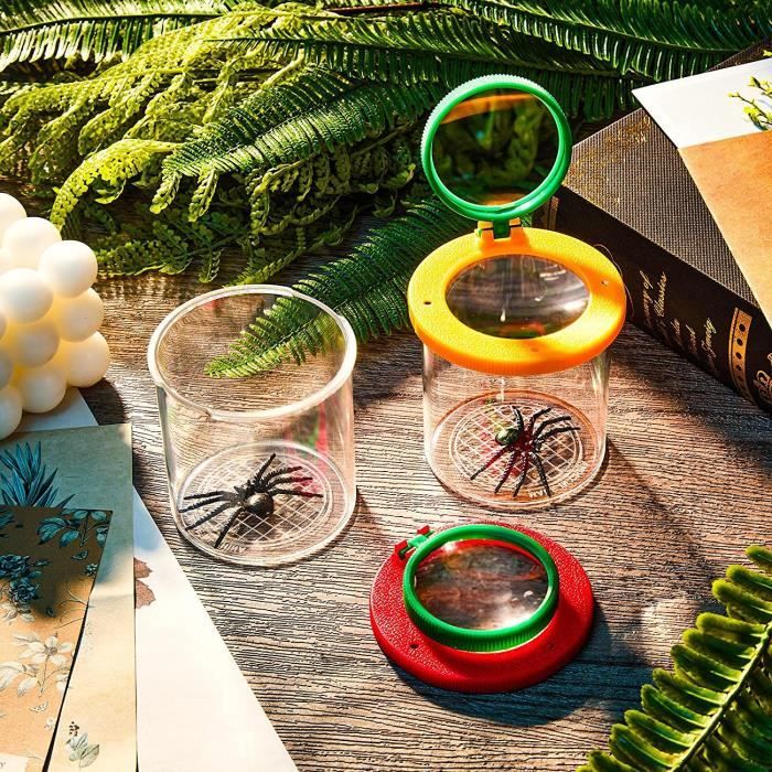 Boîte Loupe à Insectes Zliger – 4 Kits Avec Loupes 3x Et 6x, Pinces Et Pièges, Pour Explorer La Nature