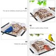 1pc Portable Ventouse Détachable Mangeoire à Oiseaux Oiseau Récipient de Nourriture Pour Titulaire pour La  VOLIERE - CAGE OISEAU-3