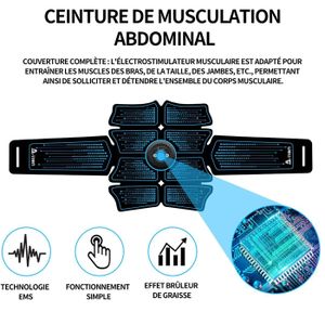 Electrostimulateur Musculaire IWarmbase – 6 Modes, 19 Intensités – Ceinture EMS Pour Abdos, Bras, Jambes, Fessiers