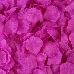 Pétales de roses ivoire - Fiesta Republic