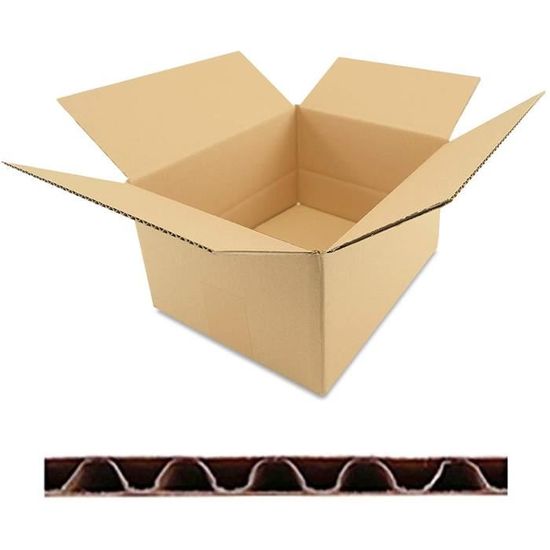 Lot De 100 Cartons Américains - Dimensions : 250 X 180 X 140 Mm - Simple Cannelure, Couleur Havane