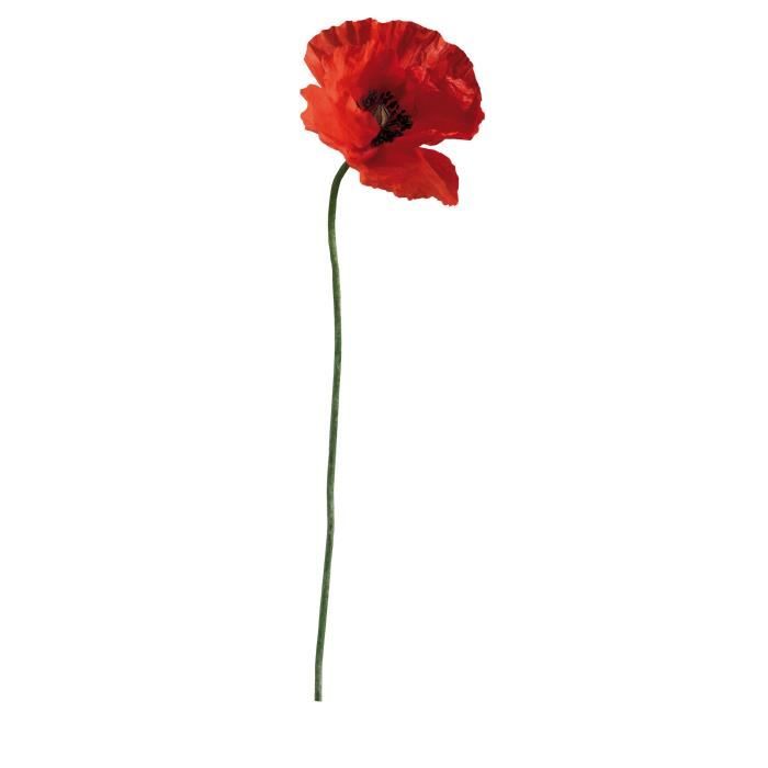 PLAGE Sticker Décor mural adhésif 3XL - Coquelicot169 x 57,5 cm