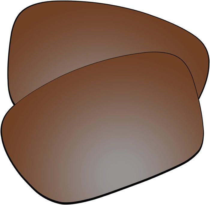 Verres De Rechange Polarisés Marron Pour Lunettes Von Zipper - Pochette SRL - Neuf
