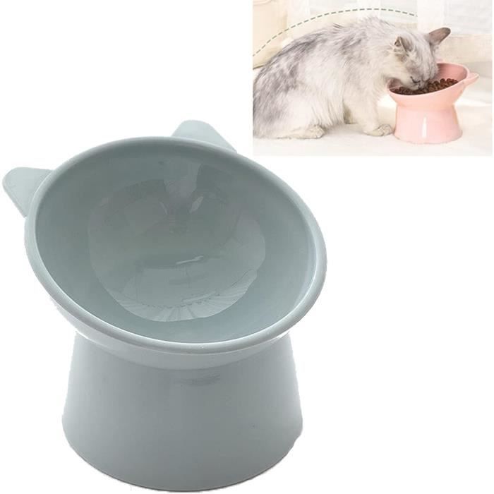 Ergonomic Cat Bowl 45 Tilted Raised Cat Food Bowls Anti Spill