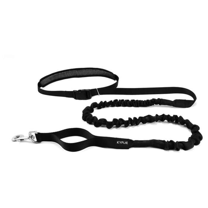 Paracord Planet Corde élastique 1/8" Fabriquée Aux États-Unis Pour L'intérieur Et L'extérieur (15,2 M, Barbe à Papa