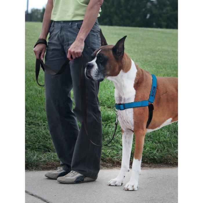 PetSafe - Harnais pour Chien Deluxe Easy Walk (M/L) Réfléchissant Résistant Facile à Utiliser Anti-Traction - Bleu Océan PetSafe - Harnais pour Chien Deluxe Easy Walk (M/L) Réfléchissant Résistant Facile à Utiliser Anti-Traction - Bleu Océan
