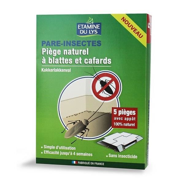 Pièges à Cafards Collants - 30 Pièces, Non Toxiques, Pour Maison, Cuisine, Salle De Bain