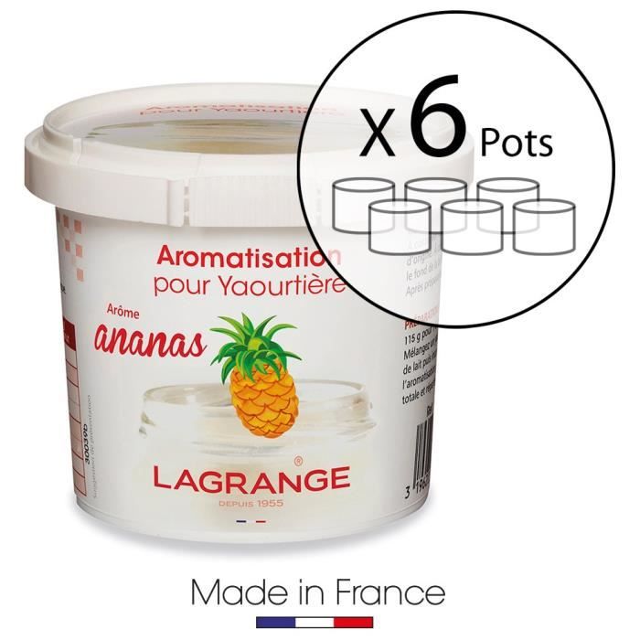 LAGRANGE Lot de 6 pots d'aromatisation pour yaourts Ananas - Cdiscount Au  quotidien