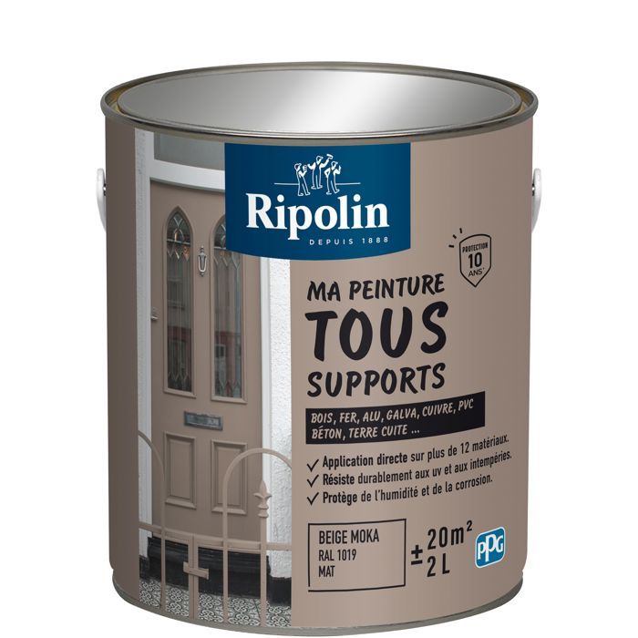 Peinture multi-supports - Beige moka - RAL 1019 - Mat - Ripolin - 2L ...