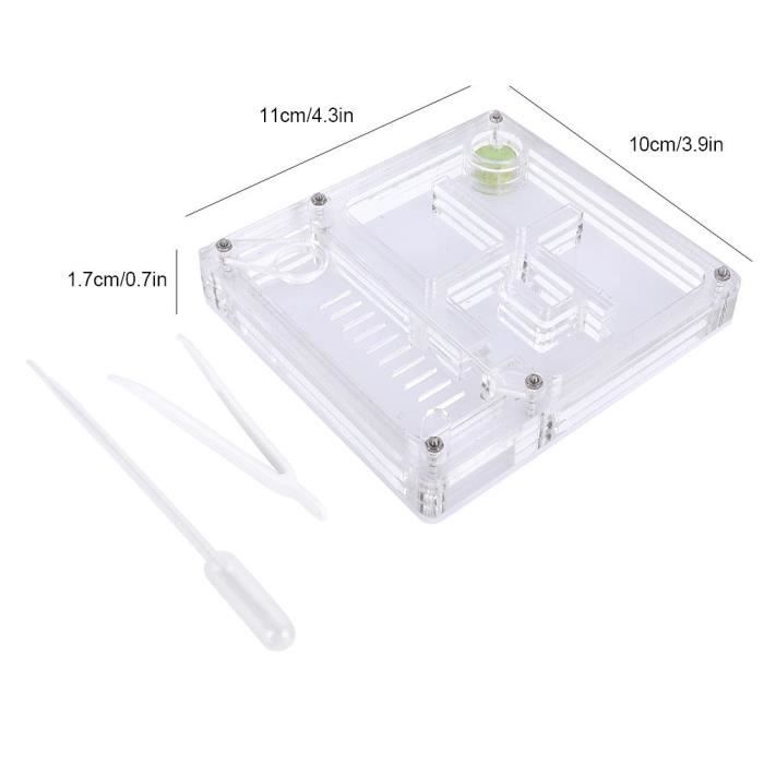 koolsoo Nid de Fourmi Acrylique Ferme de Fourmis pour Cadeau Journée des Enfants Observation Scientifique Bleu koolsoo Nid de Fourmi Acrylique Ferme de Fourmis pour Cadeau Journée des Enfants Observation Scientifique Bleu