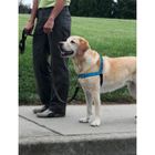 EASYWALK PetSafe - Harnais pour Chien Deluxe Easy Walk (L), Réfléchissant, Confortable, Résistant, Facile à Utiliser, Anti-Traction - Bleu