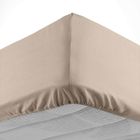 DOUCEUR D'INTERIEUR Drap housse 160x200 cm - Bonnet 30 cm - 100% coton - Sable