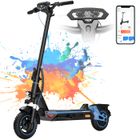 Trottinette électrique adulte pliable - RCB TECH - Batterie 48V, 16.8 Ah - Pneus 10" - APP - 800W - R10S Bleu