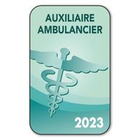 Autocollant Sticker - Vignette Caducée 2023 pour Pare Brise en Vitrophanie - V2 Auxiliaire Ambulancier 