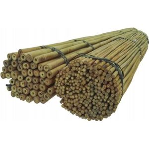 TUTEUR - LIEN - ATTACHE Tuteurs en bambou - DIXIE STORE - 180cm x 12-14mm 