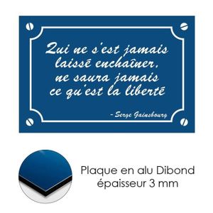 Plaque De Rue Decorative En Alu Citation Desproges Achat Vente Plaque De Porte Cdiscount