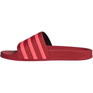 claquette adidas rouge homme