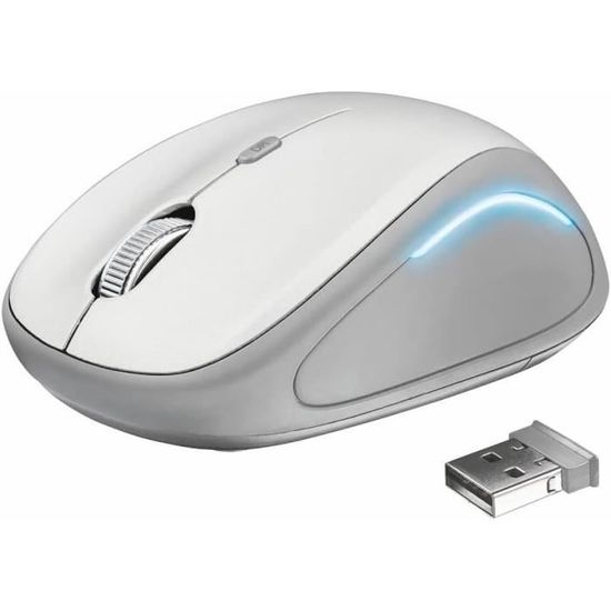 Souris Sans Fil Sigma Compacte Argentée | Mini Souris Optique 800 DPI Avec Nano USB | Neuf