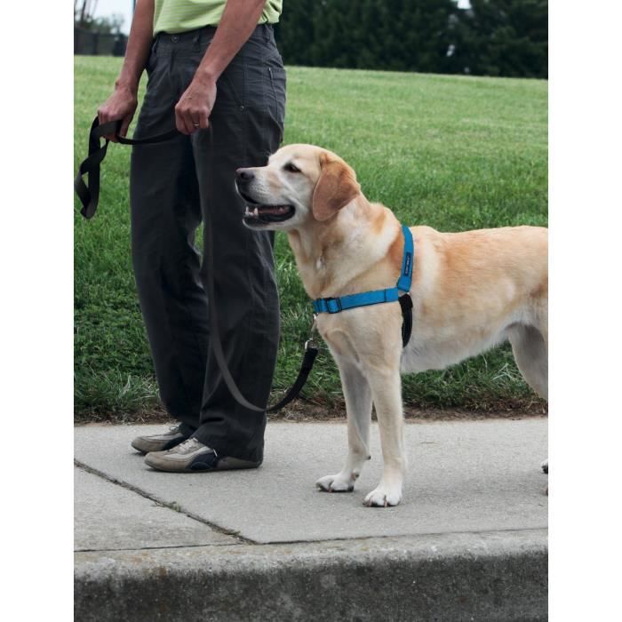 EASY WALK Harnais Deluxe L - Bleu Océan - Pour chien