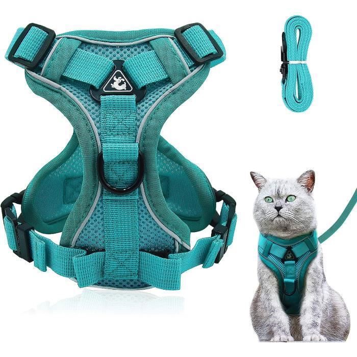 Harnais pour chat - AUTREMENT - Lac bleu - Taille L - Poitrine 38-46 cm - Laisse 15 m