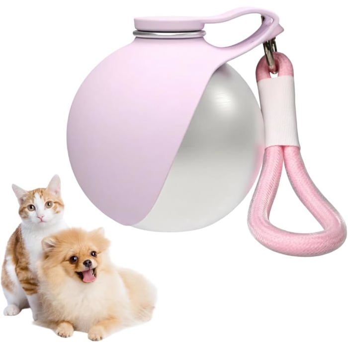 Gourde pour chien - Bouteille deau pour chien - Gourde de voyage - Gamelle pour chien - Anti-fuite - Pliable - Compacte -