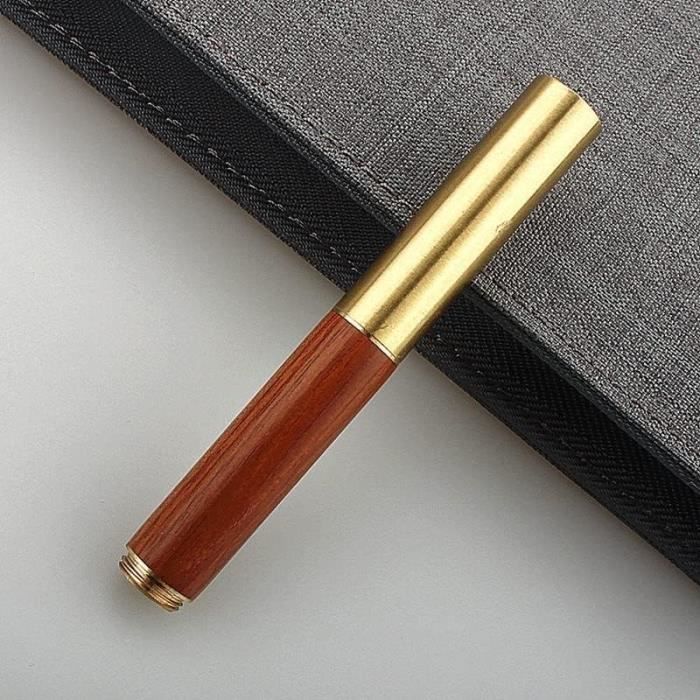 Stylo Plume Calligraphie Rechargeable à Piston - Pointe Pinceau Nylon, Idéal Débutants
