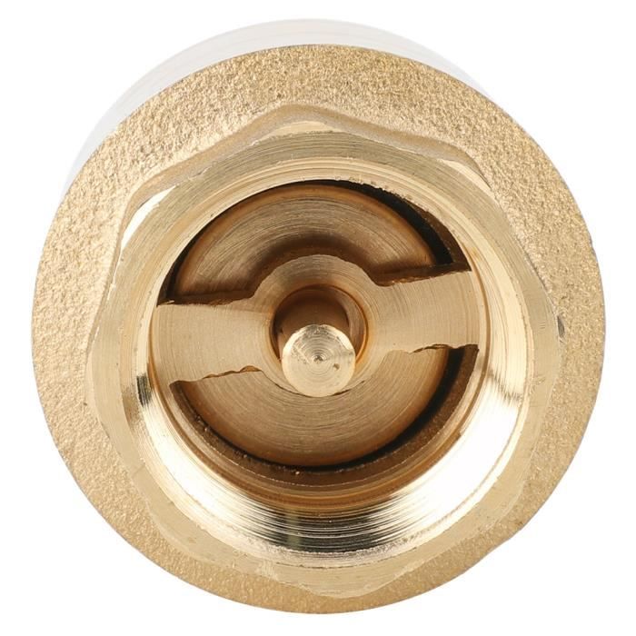 Clapet anti-retour en laiton QIILU - G1/2, G3/4, G1'' - Résistant à l