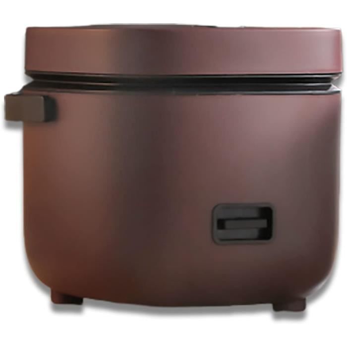Cuiseur À Riz Et Cuiseur Vapeur 1,2 Litres Mini Marmite Électrique Pour