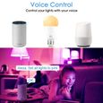 Ampoule Led intelligente, colorée, WiFi 15W, fonctionne avec Alexa-Google Home, lampe RGB E27 B22, 110V 220V, veilleuse [3EB0255]-1