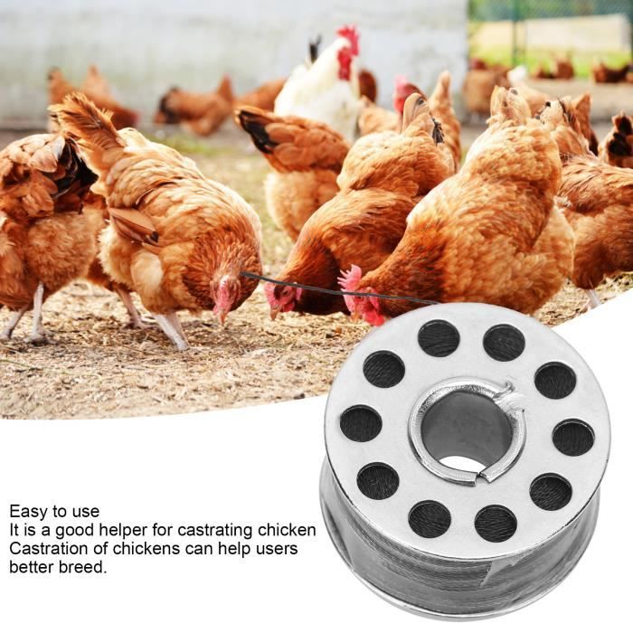 HEN--Outil de castration de poulet en 3 pièces Ligne de caponage de ...