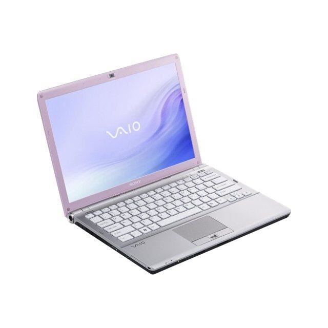 vhbw Batterie Compatible avec Sony Vaio VGN-AW41ZF/B, VGN-AW50DB, VGN-AW50DB/H, VGN-AW51JGB Ordinateur Portable (6600mAh, 11,1V, Argent