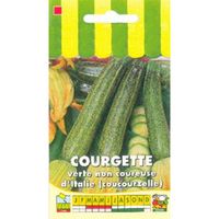 Sachet de  Courgette verte non coureuse d'Italie - 5 g - légume fruit - LES GRAINES BOCQUET