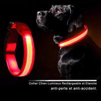 Collier à LED pour chien rechargeable par USB,Collier lumineux visibilité pour promenade nocturne de animal étanche
