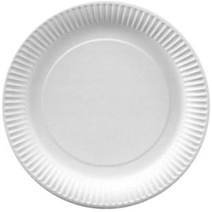 PAPSTAR Pure 11100 125 carton plateau rectangulaire 24 x 33 cm Blanc