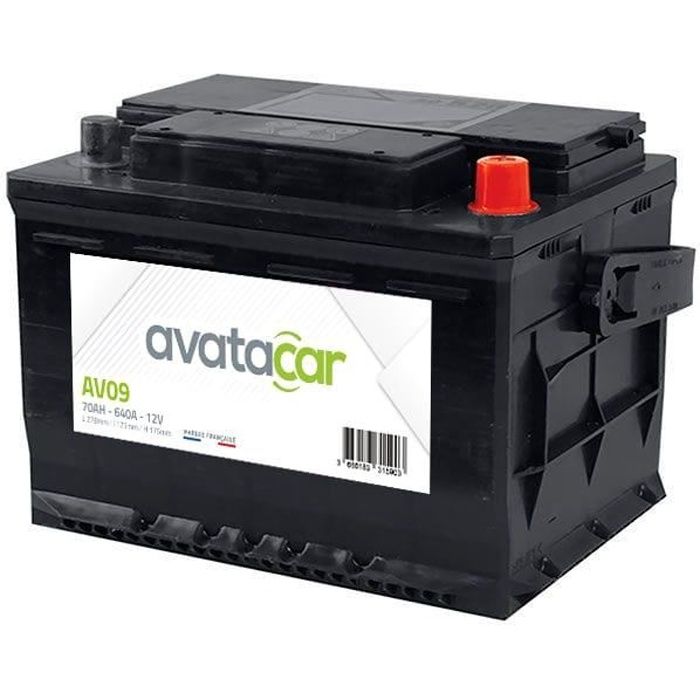 Batterie 12V 80Ah 840A AGM Start & Stop sans entretien pour VUL et  véhicules légers, conseillé pour véhicules normes euro 5 et euro 6