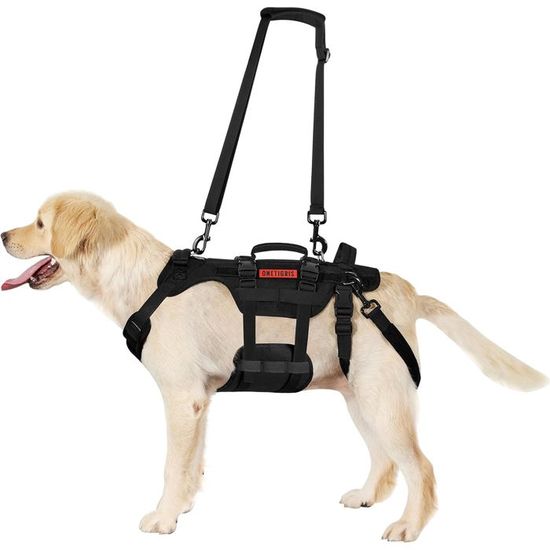 COODEO | Harnais De Levage Pour Chien, Support Et Rééducation Pour Animaux De Compagnie, Sangles Respirantes Rembourrées Réglables Pour Personnes âgées, Handicapées, Blessures Articulaires (Bleu, S