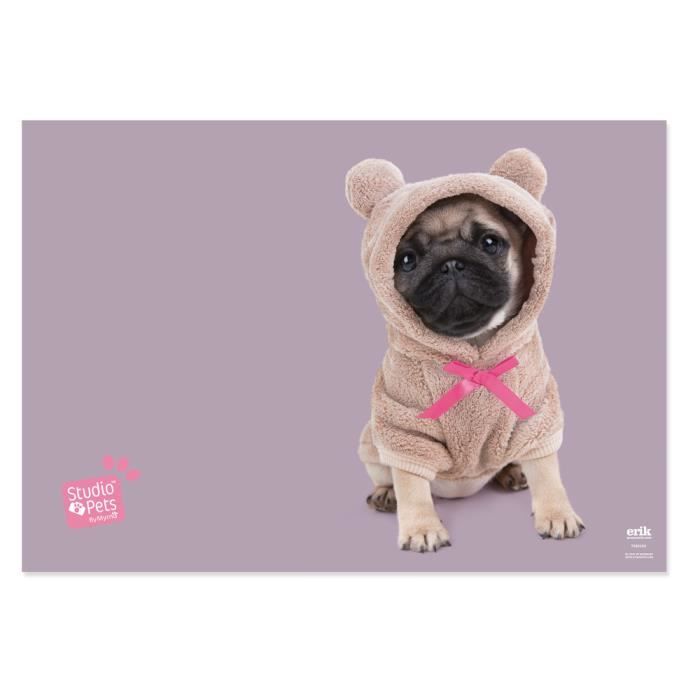 Sous Main Ecole Studio Pets Dogs