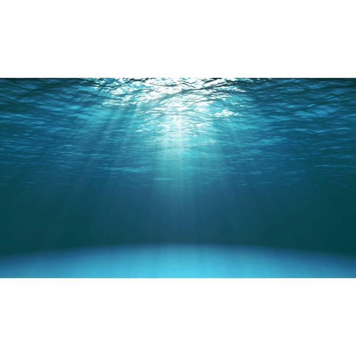 Poster Affiche Lumiere Sous L'Eau Mer Ocean Eau Photo Marine Plongee Surf 42cm x 75cm