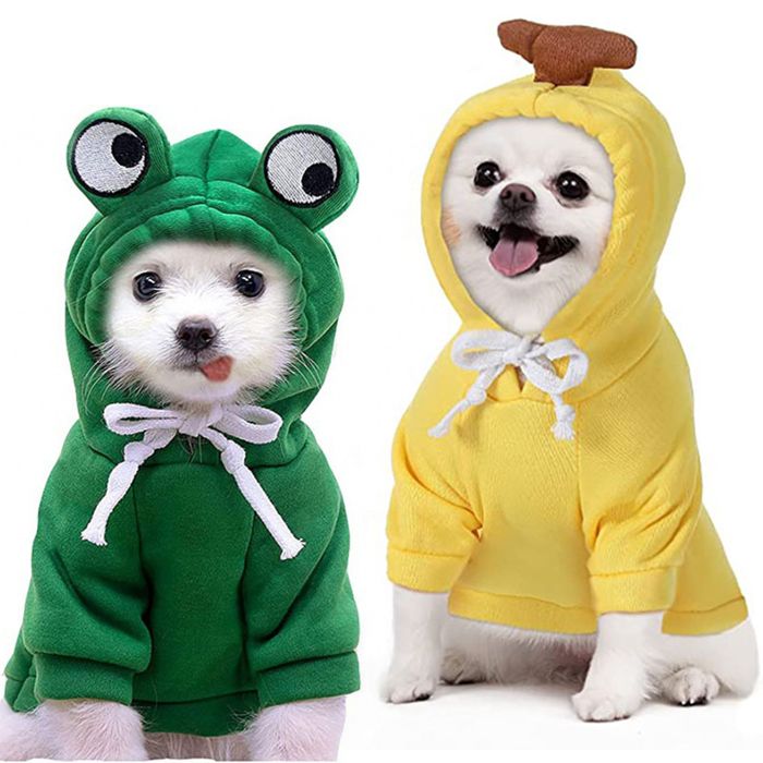 Meilleurs prix pour 2 sweat-shirts pour animaux de compagnie pull dhiver à deux pattes pour animaux de compagnie vêtements mignons pour chat