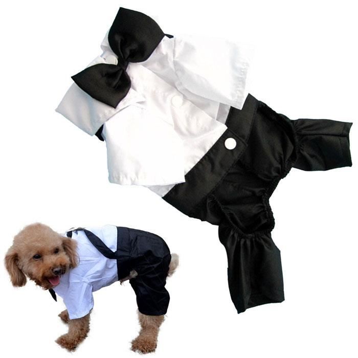 Mode Pour Animaux Chat De Chiot De Mariage Tuxedo Bow Tie Costume Vetements Chemise Manteau l 1909 Cdiscount