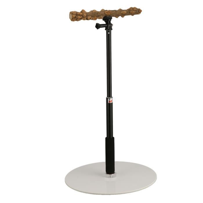 Perchoir à Ventouse Pour Perroquet, Cacatoès, Perruches - Portable, Pour Fenêtre, Salle De Bain Ou Voiture - Entraînement Et Jeu