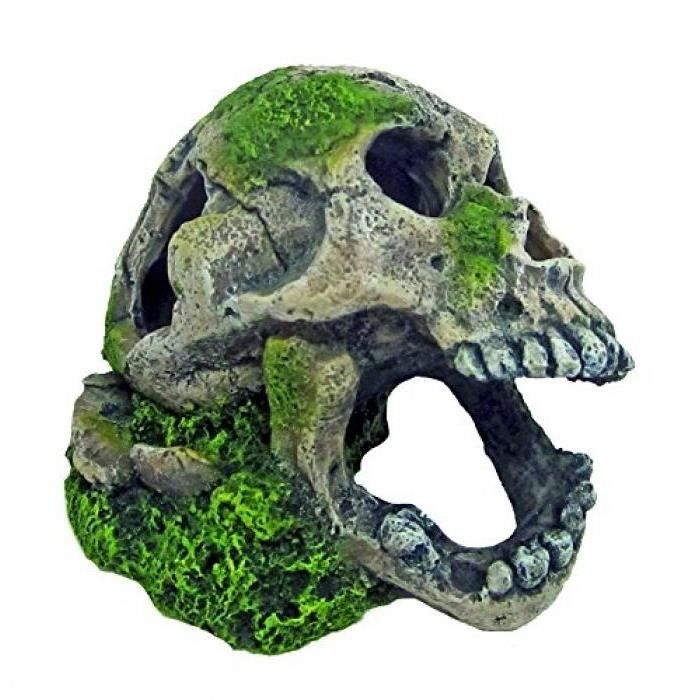 Meilleurs prix pour WAVE CRÂNE AVEC MOUSSE OBJET D'ORNEMENT POUR AQUARIOPHILIE