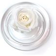 Rose Eternelle Blanche Naturelle sous Une Cloche en Verre Rose stabilisée Blanche Infinity Rose Rose Conservée Fleur-1