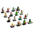LEGO® 71027 Minifigurines™ Série 20 - Sachet 1 figurine-1