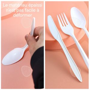 Couverts Compostables En Bois De Bouleau | Paquet De 24